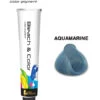 Bleach & Color Crème Aquamarine 80gr
