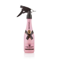 Vaporisateur à Eau Bouteille De Champagne