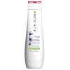 Shampoing Violet Colorlast Biolage 250ml